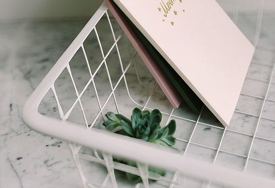 Storage & Organization